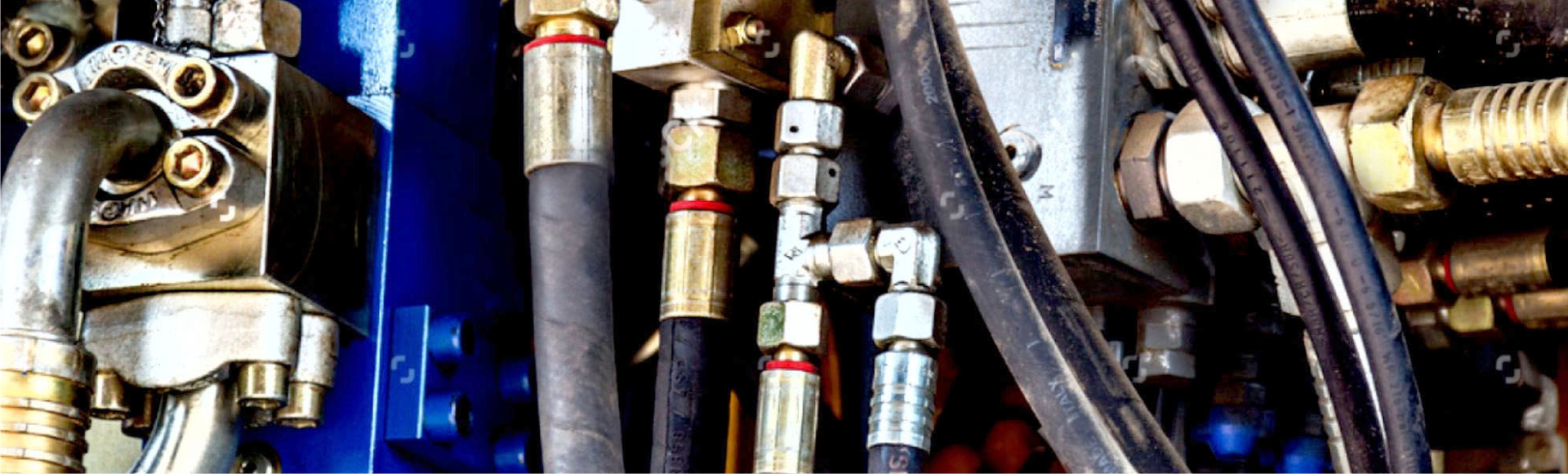 Green School in London